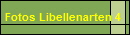Fotos Libellenarten 4
